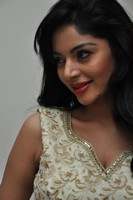 Sanam Shetty Photos at Srimanthudu Audio Release
